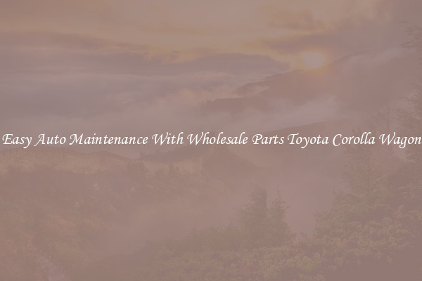 Easy Auto Maintenance With Wholesale Parts Toyota Corolla Wagon