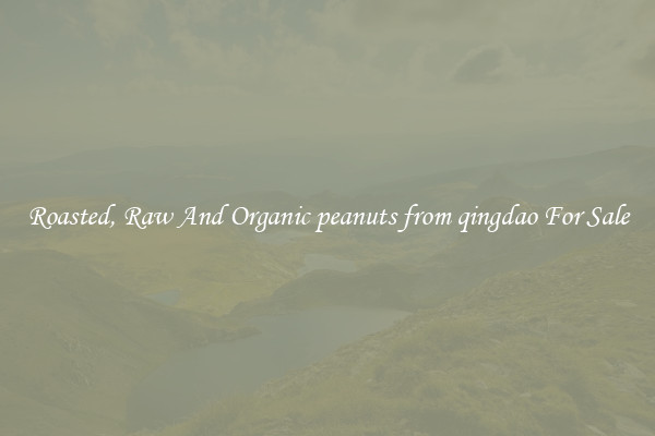 Roasted, Raw And Organic peanuts from qingdao For Sale