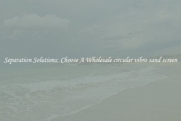 Separation Solutions: Choose A Wholesale circular vibro sand screen