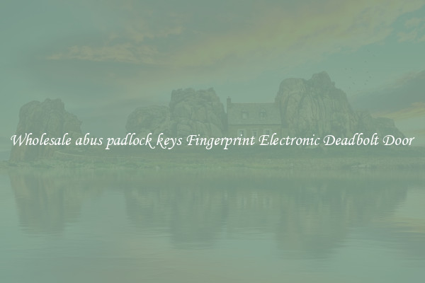 Wholesale abus padlock keys Fingerprint Electronic Deadbolt Door 