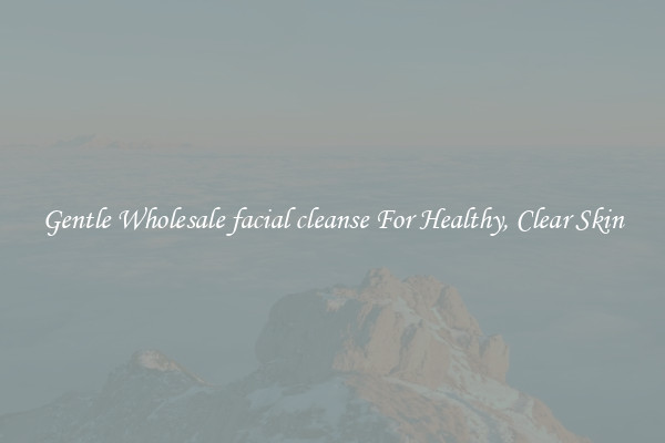 Gentle Wholesale facial cleanse For Healthy, Clear Skin