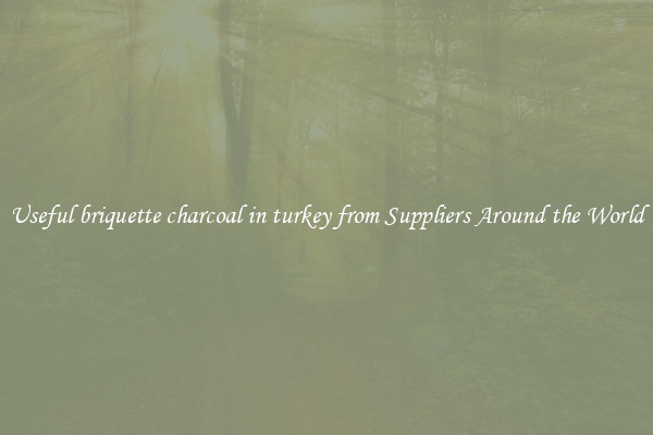 Useful briquette charcoal in turkey from Suppliers Around the World