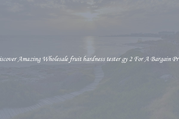 Discover Amazing Wholesale fruit hardness tester gy 2 For A Bargain Price