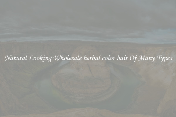 Natural Looking Wholesale herbal color hair Of Many Types