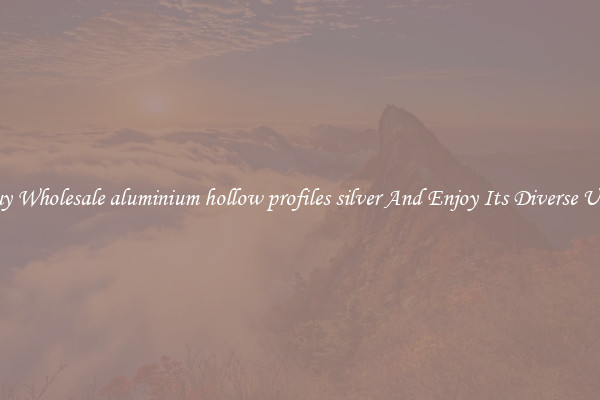 Buy Wholesale aluminium hollow profiles silver And Enjoy Its Diverse Uses