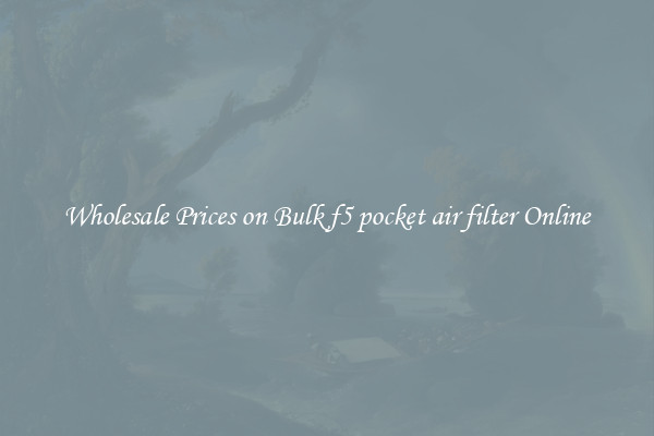 Wholesale Prices on Bulk f5 pocket air filter Online