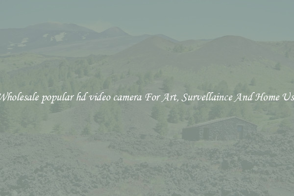 Wholesale popular hd video camera For Art, Survellaince And Home Use
