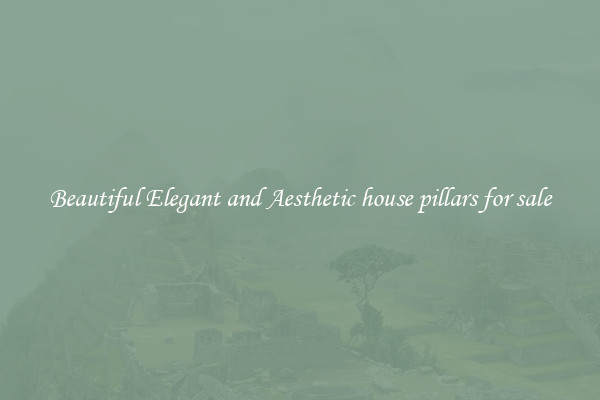 Beautiful Elegant and Aesthetic house pillars for sale