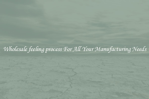 Wholesale feeling process For All Your Manufacturing Needs