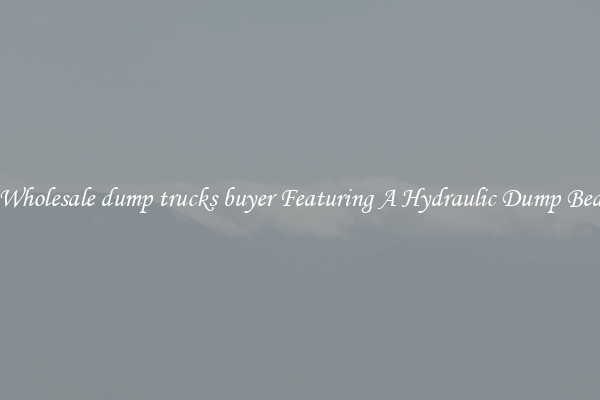 Wholesale dump trucks buyer Featuring A Hydraulic Dump Bed