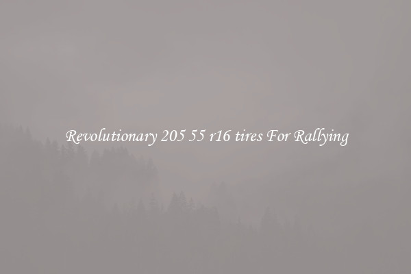 Revolutionary 205 55 r16 tires For Rallying