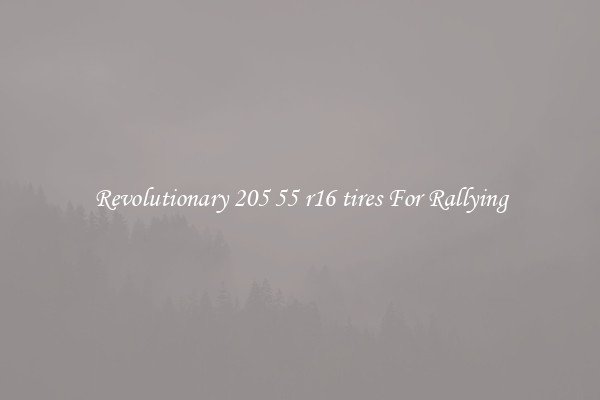 Revolutionary 205 55 r16 tires For Rallying