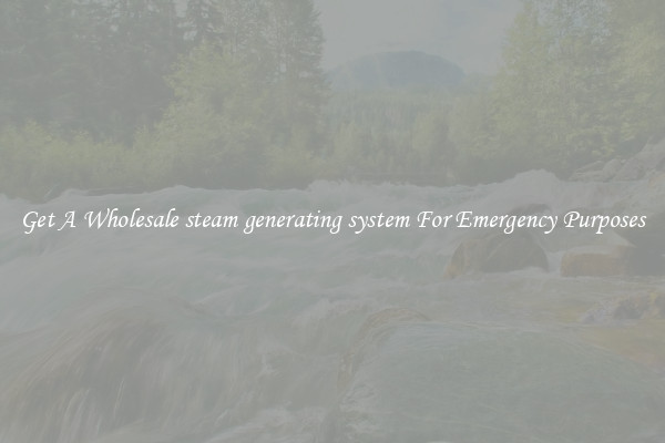 Get A Wholesale steam generating system For Emergency Purposes
