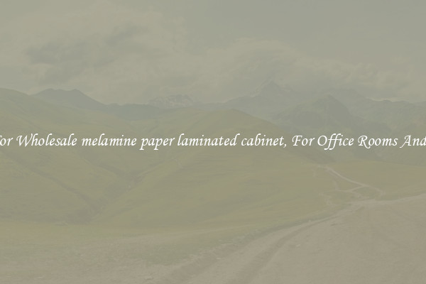 Shop For Wholesale melamine paper laminated cabinet, For Office Rooms And Homes