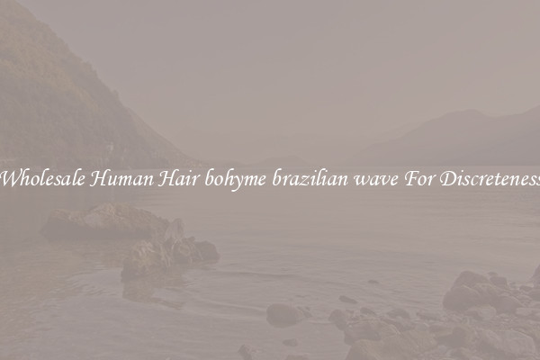 Wholesale Human Hair bohyme brazilian wave For Discreteness