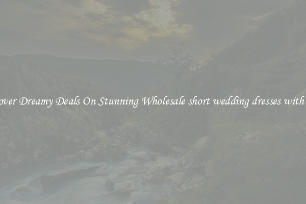 Discover Dreamy Deals On Stunning Wholesale short wedding dresses with train