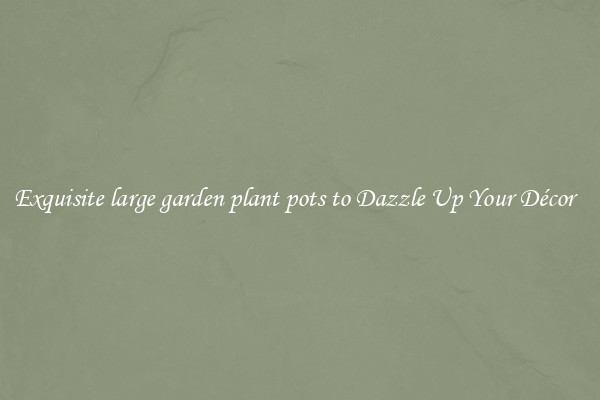 Exquisite large garden plant pots to Dazzle Up Your Décor  