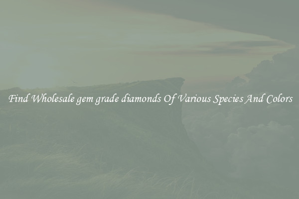 Find Wholesale gem grade diamonds Of Various Species And Colors