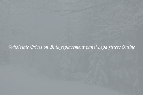 Wholesale Prices on Bulk replacement panel hepa filters Online