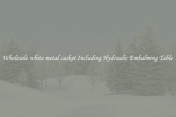 Wholesale white metal casket Including Hydraulic Embalming Table 