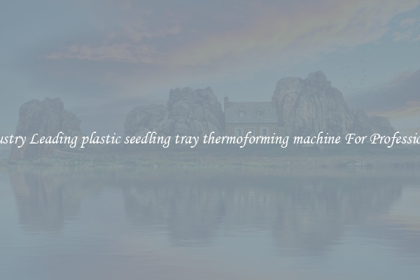 Industry Leading plastic seedling tray thermoforming machine For Professionals
